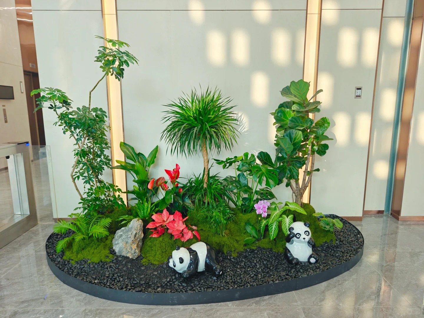 专业呈现，宁波植物租摆的精彩绿植世界